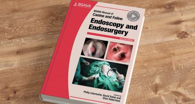 BSAVA updates Endoscopy Manual with new video resources